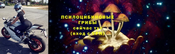 jwh Бородино