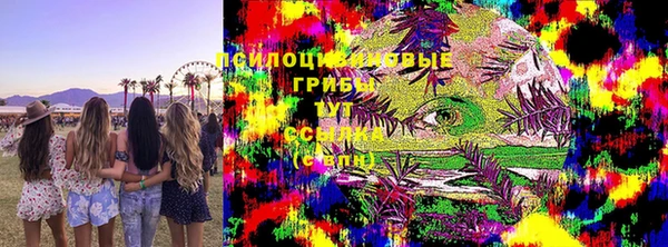 jwh Бородино