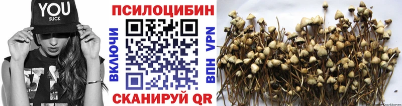 Галлюциногенные грибы Psilocybine cubensis  Благовещенск 